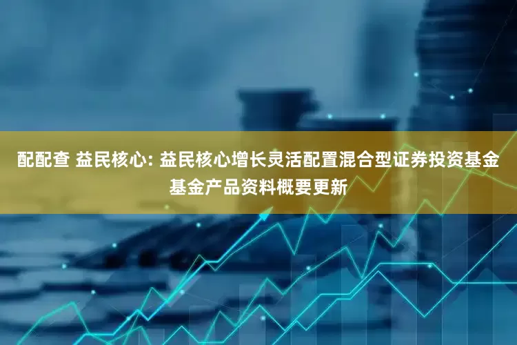 配配查 益民核心: 益民核心增长灵活配置混合型证券投资基金基金产品资料概要更新