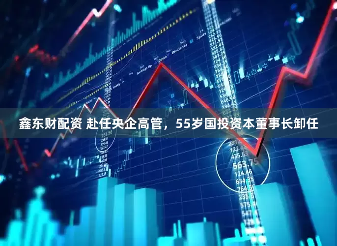 鑫东财配资 赴任央企高管，55岁国投资本董事长卸任