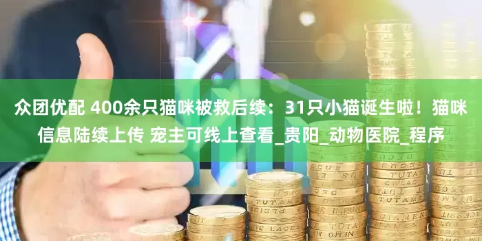 众团优配 400余只猫咪被救后续：31只小猫诞生啦！猫咪信息陆续上传 宠主可线上查看_贵阳_动物医院_程序