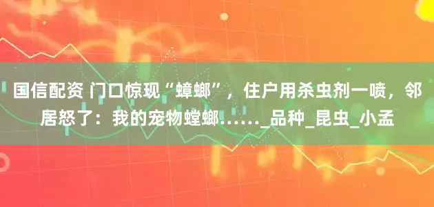 国信配资 门口惊现“蟑螂”，住户用杀虫剂一喷，邻居怒了：我的宠物螳螂……_品种_昆虫_小孟