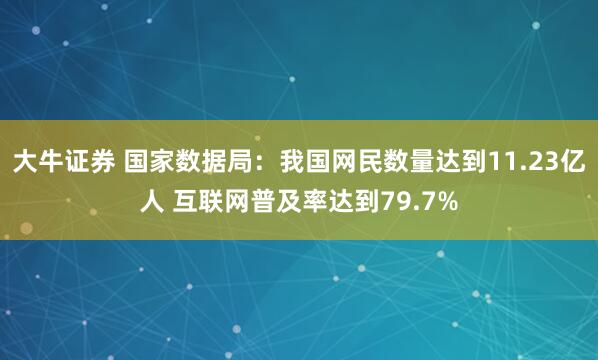 大牛证券 国家数据局：我国网民数量达到11.23亿人 互联网普及率达到79.7%