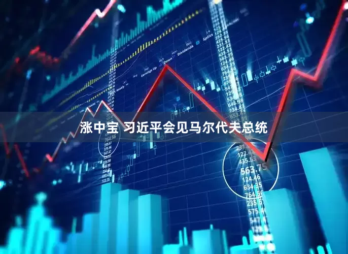 涨中宝 习近平会见马尔代夫总统