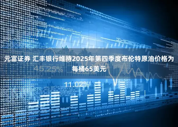 元富证券 汇丰银行维持2025年第四季度布伦特原油价格为每桶65美元