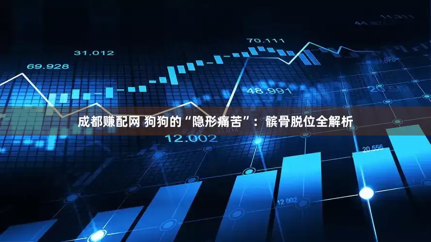 成都赚配网 狗狗的“隐形痛苦”：髌骨脱位全解析