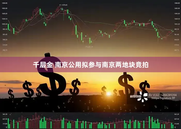 千层金 南京公用拟参与南京两地块竞拍