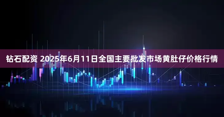 钻石配资 2025年6月11日全国主要批发市场黄肚仔价格行情