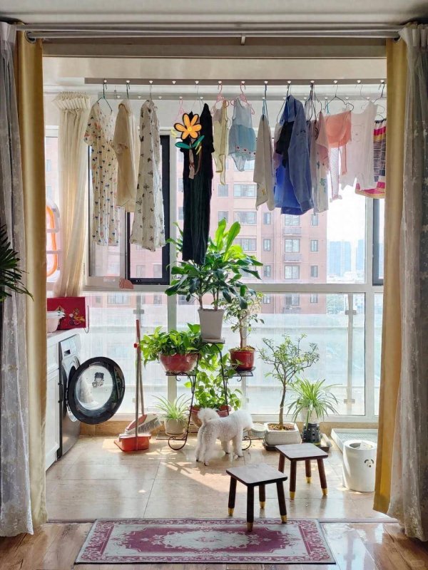 中期国际 浙江人家高级晾衣法火了！告别阳台灾难现场，3 招让家居颜值翻倍