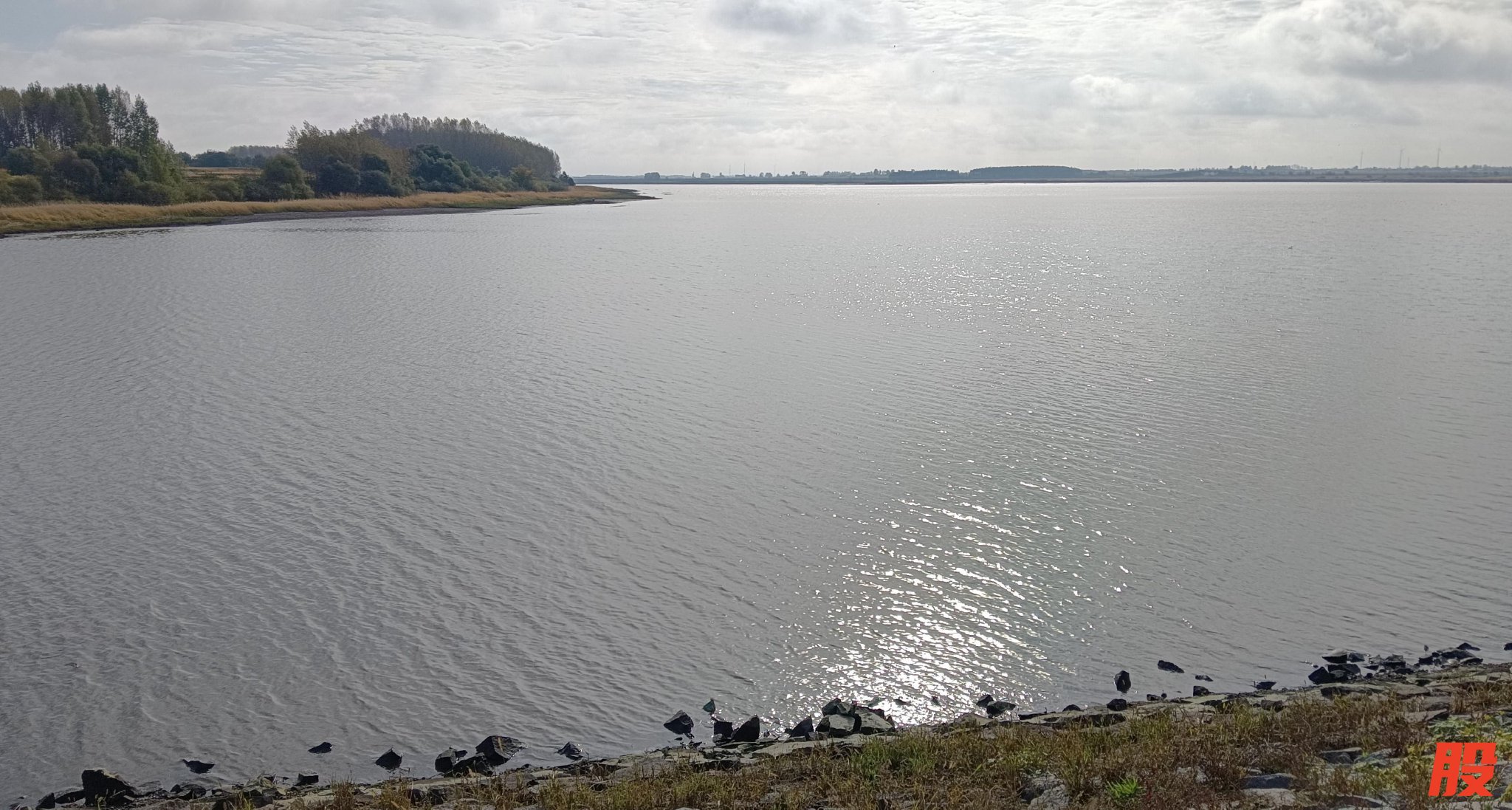 东方红水库如今已成“宝库”