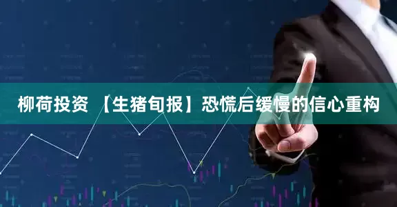 柳荷投资 【生猪旬报】恐慌后缓慢的信心重构